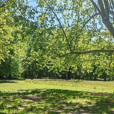 Villa Aux Sources De Lesquire *